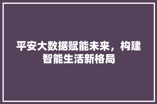 平安大数据赋能未来，构建智能生活新格局  第1张