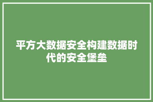 平方大数据安全构建数据时代的安全堡垒  第1张