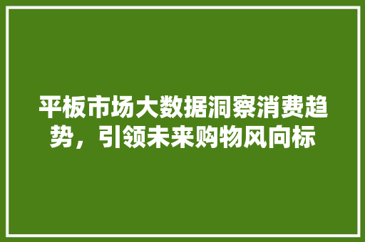 平板市场大数据洞察消费趋势，引领未来购物风向标