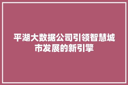 平湖大数据公司引领智慧城市发展的新引擎