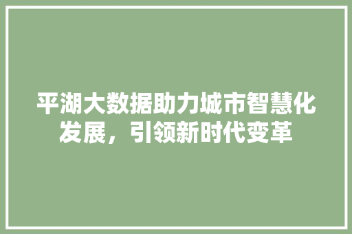平湖大数据助力城市智慧化发展，引领新时代变革
