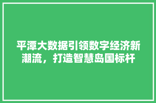 平潭大数据引领数字经济新潮流，打造智慧岛国标杆