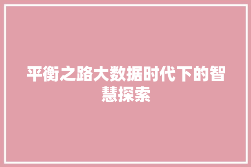 平衡之路大数据时代下的智慧探索