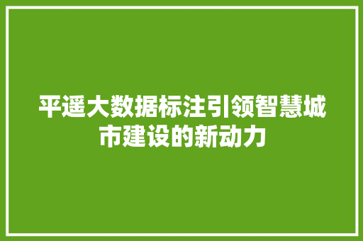 平遥大数据标注引领智慧城市建设的新动力