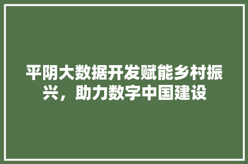 平阴大数据开发赋能乡村振兴，助力数字中国建设