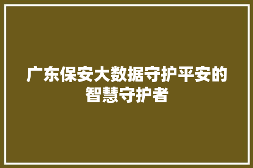 广东保安大数据守护平安的智慧守护者