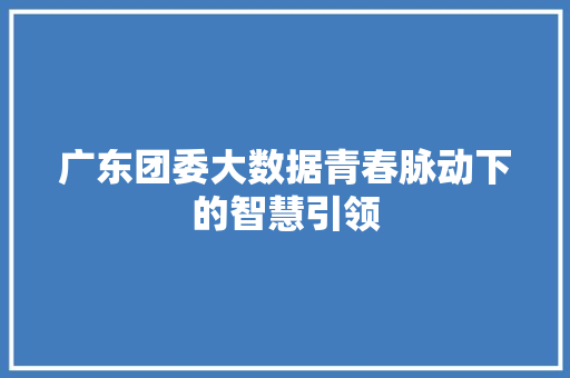 广东团委大数据青春脉动下的智慧引领