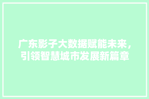 广东影子大数据赋能未来，引领智慧城市发展新篇章