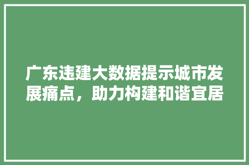 广东违建大数据提示城市发展痛点，助力构建和谐宜居环境