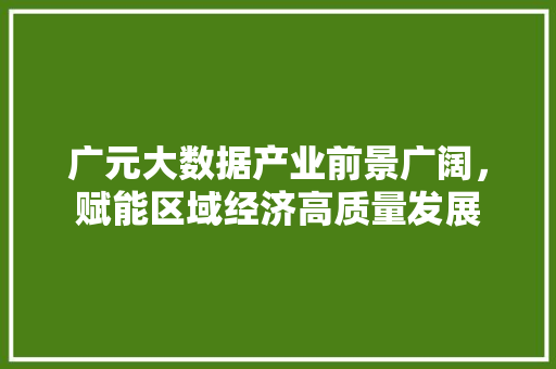 广元大数据产业前景广阔，赋能区域经济高质量发展