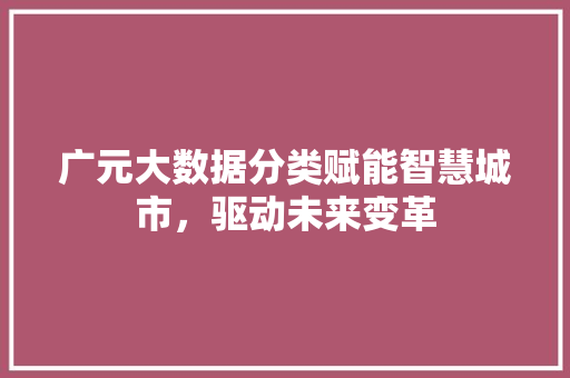 广元大数据分类赋能智慧城市，驱动未来变革