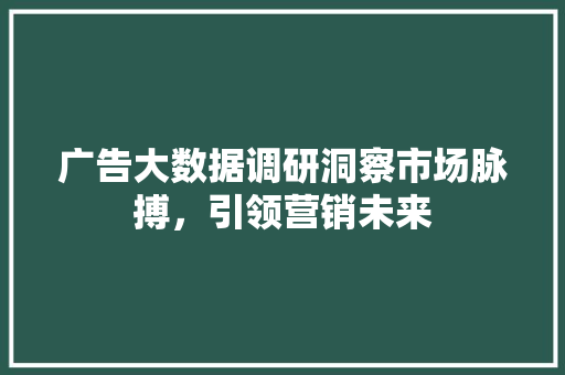 广告大数据调研洞察市场脉搏，引领营销未来  第1张