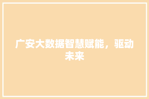 广安大数据智慧赋能，驱动未来
