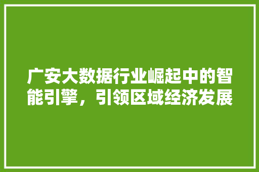 广安大数据行业崛起中的智能引擎，引领区域经济发展新篇章