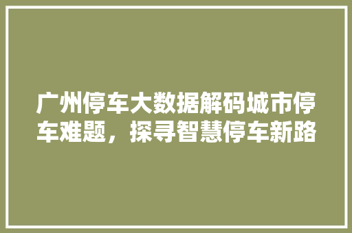 广州停车大数据解码城市停车难题，探寻智慧停车新路径  第1张