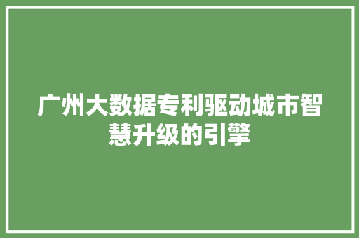 广州大数据专利驱动城市智慧升级的引擎