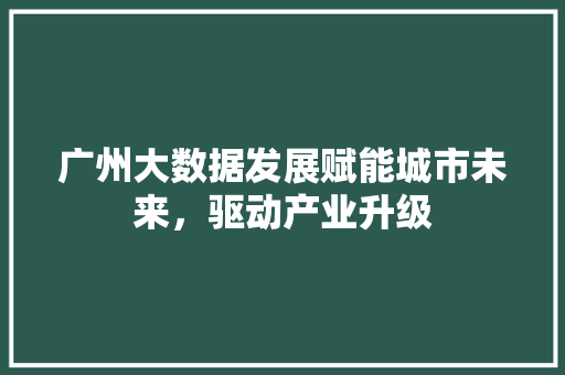 广州大数据发展赋能城市未来，驱动产业升级  第1张