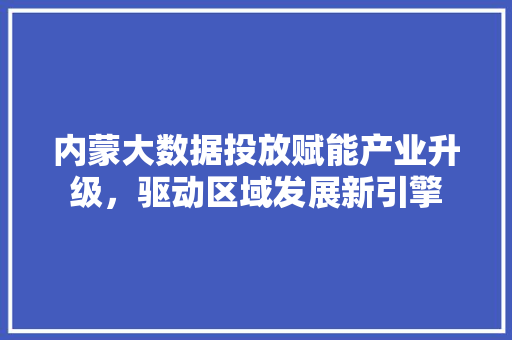 内蒙大数据投放赋能产业升级，驱动区域发展新引擎