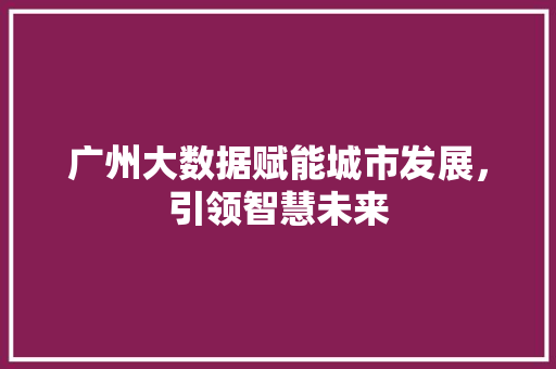 广州大数据赋能城市发展，引领智慧未来  第1张
