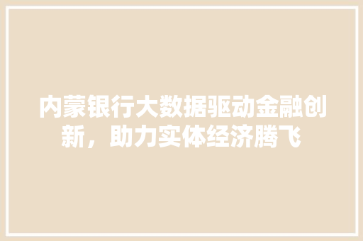内蒙银行大数据驱动金融创新，助力实体经济腾飞