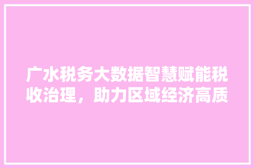 广水税务大数据智慧赋能税收治理，助力区域经济高质量发展
