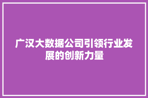 广汉大数据公司引领行业发展的创新力量