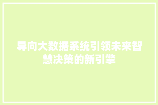 导向大数据系统引领未来智慧决策的新引擎