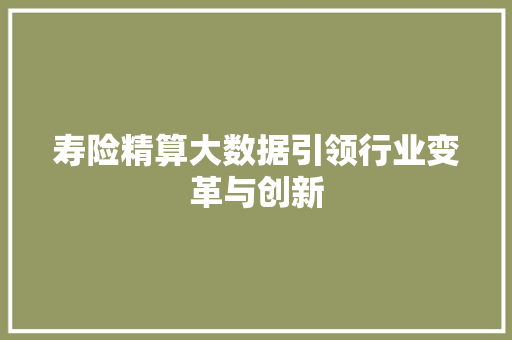 寿险精算大数据引领行业变革与创新