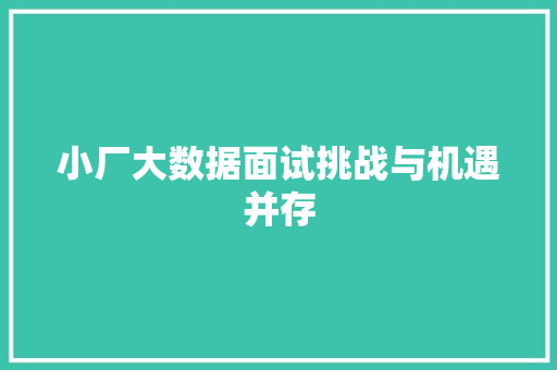 小厂大数据面试挑战与机遇并存
