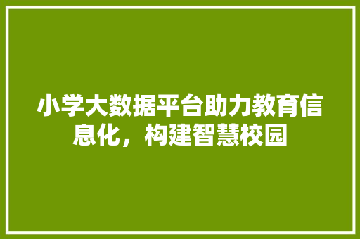 小学大数据平台助力教育信息化，构建智慧校园  第1张