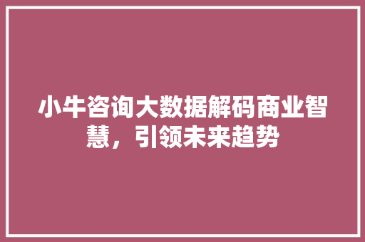小牛咨询大数据解码商业智慧，引领未来趋势