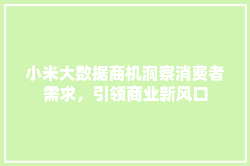 小米大数据商机洞察消费者需求，引领商业新风口  第1张