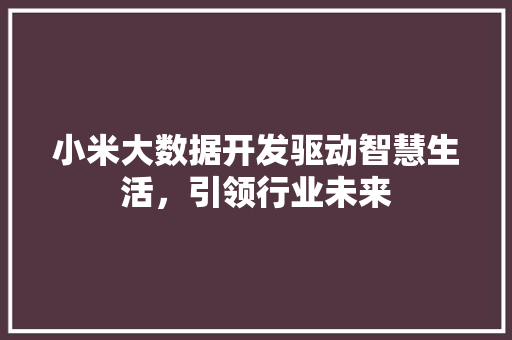 小米大数据开发驱动智慧生活，引领行业未来  第1张