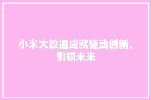 小米大数据成就驱动创新，引领未来  第1张