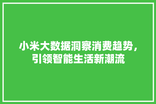 小米大数据洞察消费趋势，引领智能生活新潮流  第1张