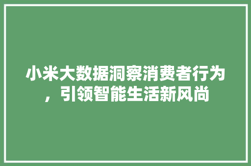 小米大数据洞察消费者行为，引领智能生活新风尚  第1张