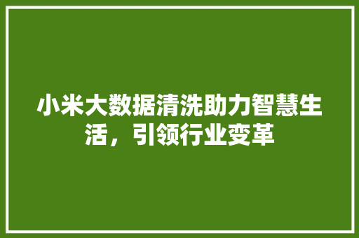小米大数据清洗助力智慧生活，引领行业变革  第1张