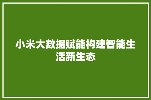 小米大数据赋能构建智能生活新生态  第1张