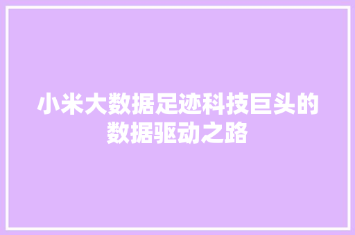 小米大数据足迹科技巨头的数据驱动之路  第1张