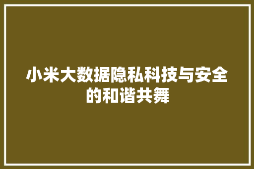 小米大数据隐私科技与安全的和谐共舞  第1张