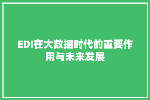 EDI在大数据时代的重要作用与未来发展