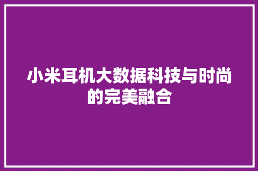 小米耳机大数据科技与时尚的完美融合