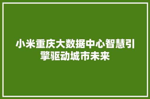 小米重庆大数据中心智慧引擎驱动城市未来  第1张