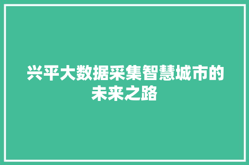 兴平大数据采集智慧城市的未来之路