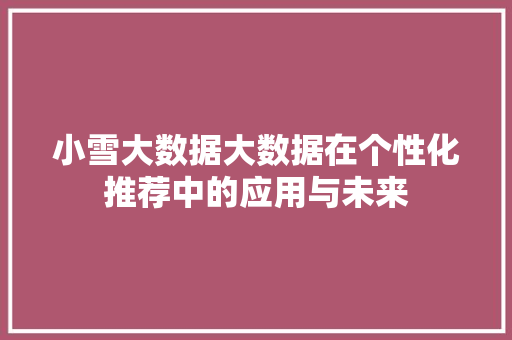 小雪大数据大数据在个性化推荐中的应用与未来  第1张