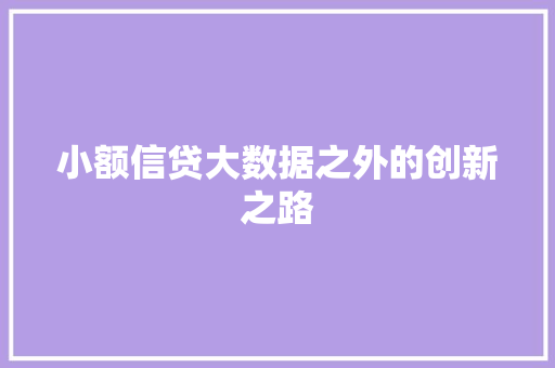小额信贷大数据之外的创新之路