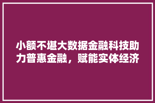 小额不堪大数据金融科技助力普惠金融，赋能实体经济  第1张