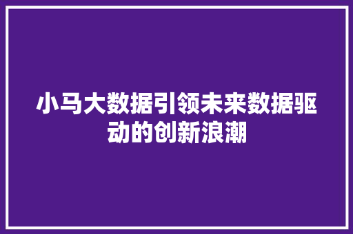 小马大数据引领未来数据驱动的创新浪潮