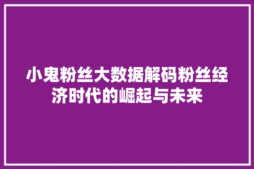小鬼粉丝大数据解码粉丝经济时代的崛起与未来