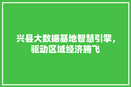 兴县大数据基地智慧引擎，驱动区域经济腾飞